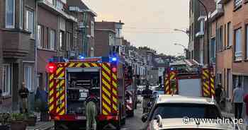 Brand in volière in Wemmel: een aantal vogels overleeft het niet - Het Laatste Nieuws