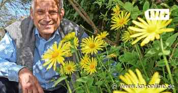 Botaniker aus Schleswig-Holstein entdeckt unbekannte Blume