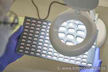 Rare cases of COVID returning pose questions for Pfizer pill - Virden Empire Advance