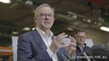 Albanese put figure on minimum wage increase, sparking criticism from Coalition