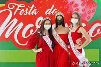Festa do Morango de Jarinu abre inscrições para concurso de rainha e princesas; veja como participar - Globo