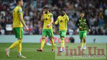 Norwich City: Chris Sutton's exclusive Canaries column - PinkUn