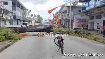 Omgevallen boom dwars over de Keizerstraat in Paramaribo - Waterkant