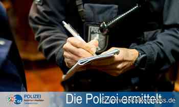 Auto fuhr an der Lippramsdorfer Straße in Marl in Teich - Marl - www.lokalkompass.de