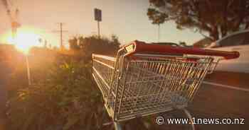 Consumer NZ launches petition to combat high grocery prices - 1News