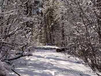 Edmonton weather: Finally, we have nothing but double-digit highs - Edmonton Journal