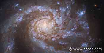 Hubble Space Telescope spots 'grand design' galaxy in stunning new image