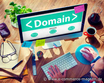 Domain-Management: Mit Strategie den Erfolg von Websites steigern - eCommerce Magazin