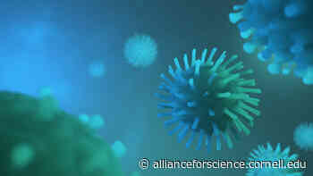 Will new vaccines be better at fighting coronavirus variants? 5 questions answered - Alliance for Science