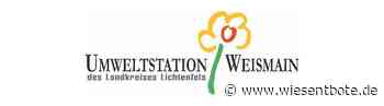 Umweltstation Weismain bietet Pfingstfreizeit für Kinder an - Der Neue Wiesentbote
