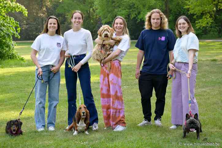 Studenten organiseren Antwerp Dog Trail: uniek wandel- en loopevent met escape room, hondenfotoshoot en dogmarket