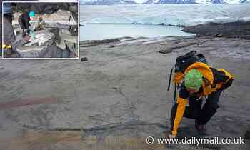 Meet Fiona! 13ft-long PREGNANT ichthyosaur with several babies in her belly is unearthed in Chile