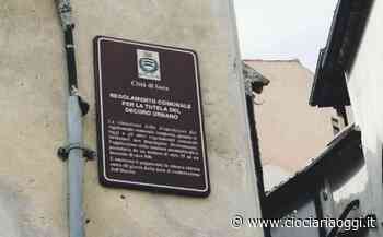 Abbandono di rifiuti, schiamazzi e atti vandalici, fioccano multe agli incivili - ciociariaoggi.it