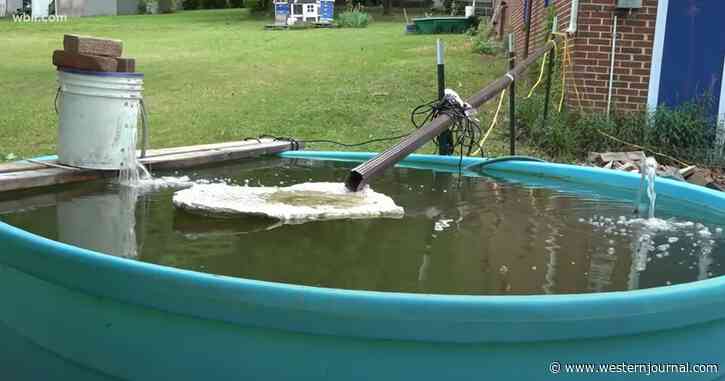 Watch: Tennessee Man Takes Matters Into His Own Hands, Starts Farming His Own Fish to Fight Food Prices