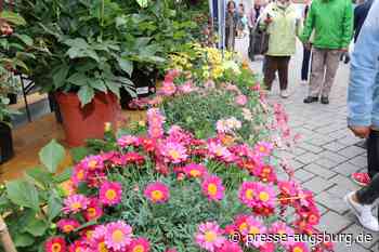 Memmingen blüht - Bunte Blumenpracht in der Memminger Innenstadt | Presse Augsburg - Presse Augsburg