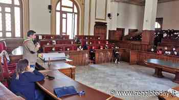 Cento studenti tra i banchi dell'aula consiliare Battaglia - ReggioToday