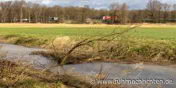 RN+ Sturm-Bilanz in Ascheberg: 3,50-Meter-Trampolin auf Gartenzaun, entwurzelte Bäume - Ruhr Nachrichten