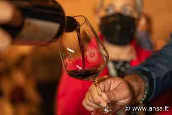 Consorzio Tutela del Primitivo di Manduria debutta a ProWein - Agenzia ANSA