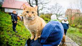 Von Tieren und ihren Menschen in Jena