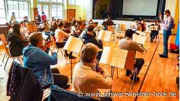 Musikschule Wildberg: Der "Wild Symphony" liegt ein Bilderbuch zugrunde