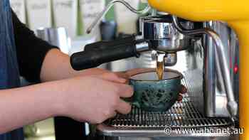 Even with low unemployment, wages fall behind cost of living. Can politicians get you a pay rise?