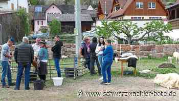 Aktionstag zieht an: Heimatmuseum Beihingen nach Zwangspause wieder geöffnet