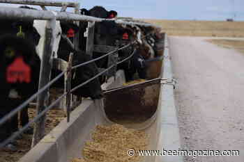 Merck Animal Health donates $500,000 to WTAMU feedlot expansion