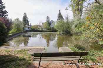 Feuerlöschteich bereitet Gemeinderäten Kopfzerbrechen - freiepresse.de