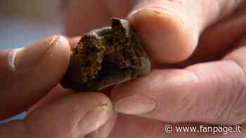 Pisa, trova hashish e bilancino nelle tasche del figlio: padre lo denuncia per spaccio di droga - Fanpage.it