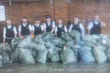 £1.5million worth of cannabis seized from Chislehurst home