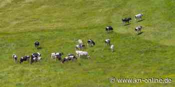 Landwirt in Bayern lässt reihenweise Rinder verdursten
