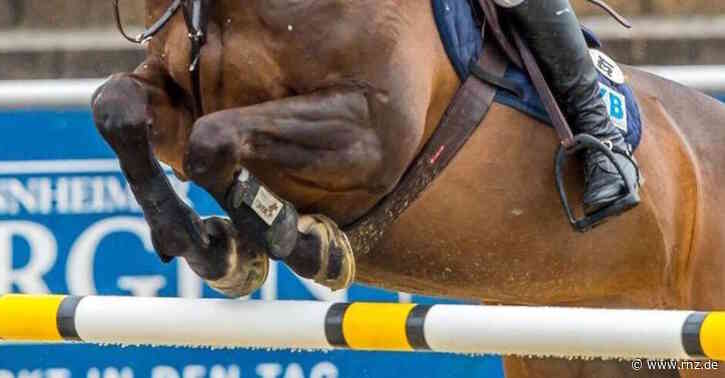 Mannheim:  Pferd nach Sturz auf dem Maimarkt eingeschläfert (Update)