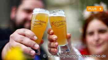 Kleinbrauermarkt in Ulm: Die Dürre am südlichen Münsterplatz ist vorbei