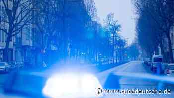 Unfälle - Breisach am Rhein - Zweiter Winzer binnen weniger Tagen tödlich verunglückt - Panorama - Süddeutsche Zeitung - SZ.de