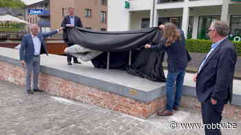 Not That Kind of Doctor: kunstenparcours moet Diest cultureel op de kaart zetten - ROB-tv