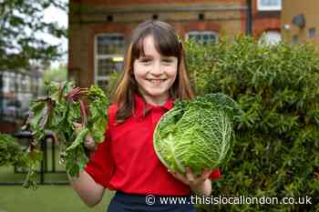 Waltham Forest tops plant-based school menu league
