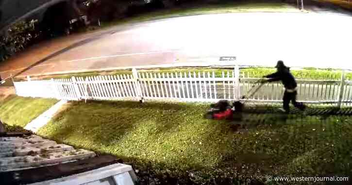 Thief or Gardening Angel? Man Takes Lawnmower, Fills It with Gas and Then Mows 'Victim's' Lawn