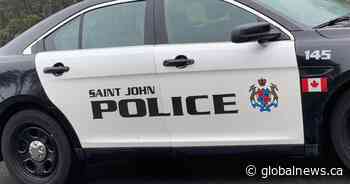 ‘Undeterred’ bear roaming Saint John neighbourhood shot by police