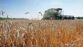 Food prices could continue to soar due to fertilizer shortage, says expert