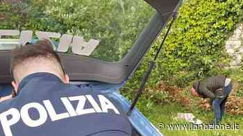 Un centinaio di proiettili nell’erba Ritrovamento a bordo autostrada - LA NAZIONE