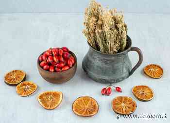 Erba che aromatizza la grappa - Zazoom Blog