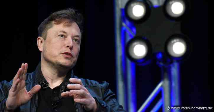 Musk: Trumps Verbannung von Twitter war «falsch und dumm»