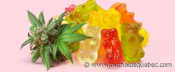 Trois élèves à l’hôpital après avoir mangé des bonbons au pot dans l'autobus à Repentigny