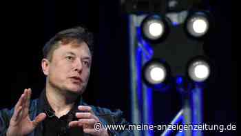 Musk: Trumps Verbannung von Twitter war „falsch und dumm“