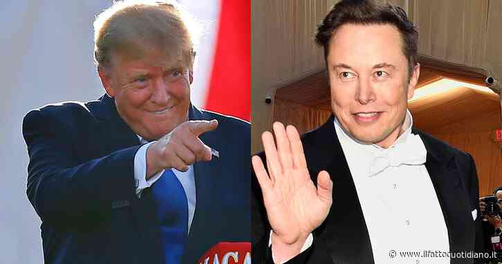 Twitter, Elon Musk: “È stato sbagliato e stupido bloccare l’account di Donald Trump. Io rimuoverò il divieto”