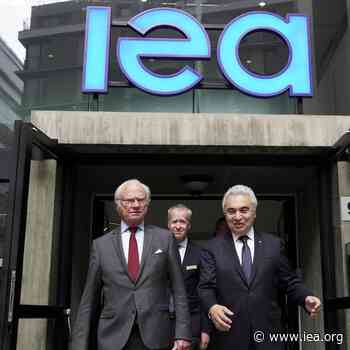 King of Sweden leads high-level delegation visit to IEA for discussion on energy markets and technologies with Executive Director - News - IEA - IEA