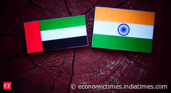 UAE Minister of Economy to lead high-level biz delegation to India this week - Economic Times