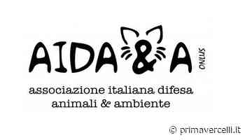 Cani trovati morti a Vercelli: arriva la taglia da 1800 euro - Prima Vercelli