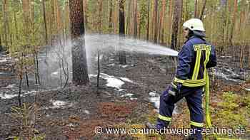 Waldbrandgefahr – Niedersachsens Ministerin ruft zur Vorsicht auf
