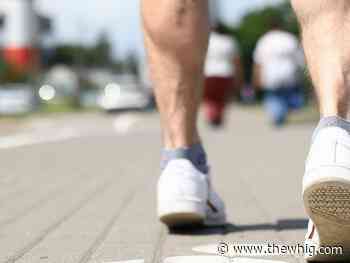 In-person Hike For Hospice Renfrew returns, raises $110,000 - The Kingston Whig-Standard